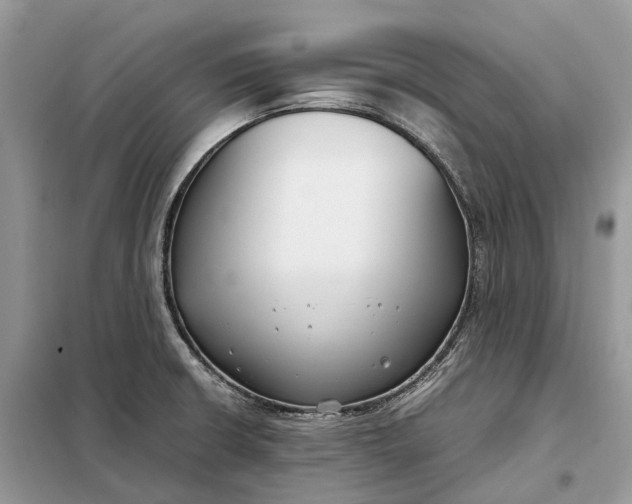 X0000099231426200805081546