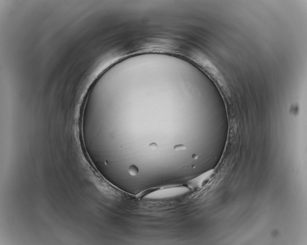 X0000099231427200805081546