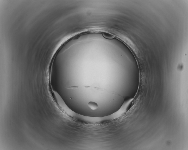 X0000099231428200805081546