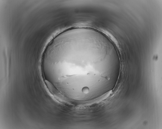 X0000099231429200805081547