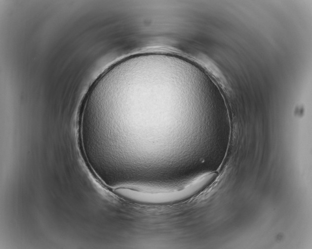 X0000099231430200805081547