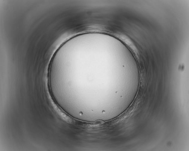 X0000099231431200805081547