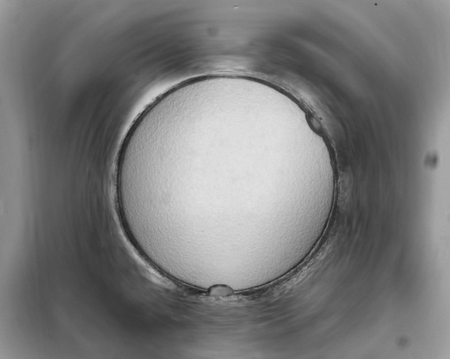 X0000099231432200805081547