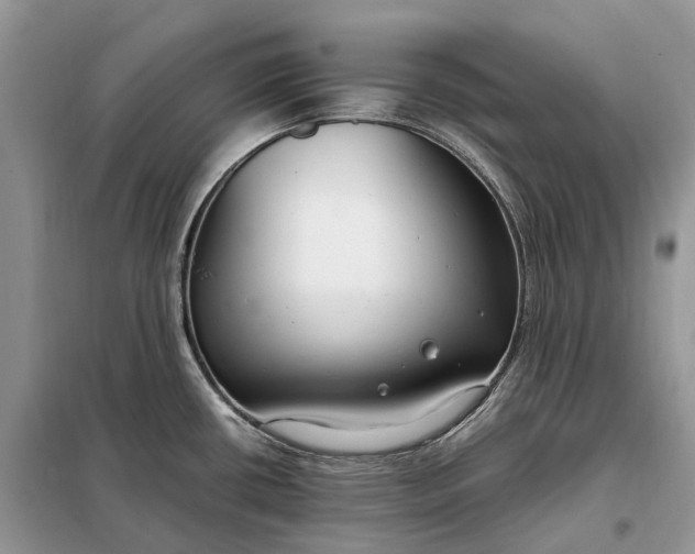 X0000099231434200805081547