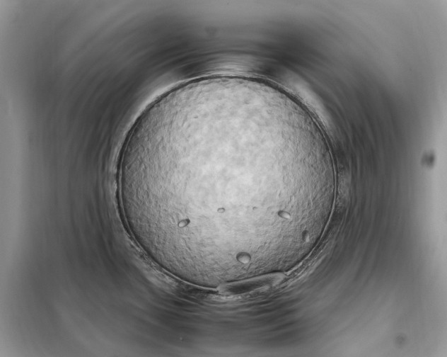 X0000099231435200805081547