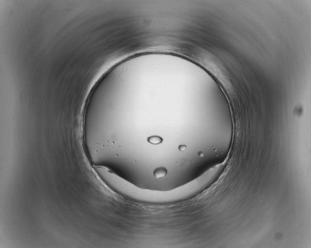 X0000099231436200805081547