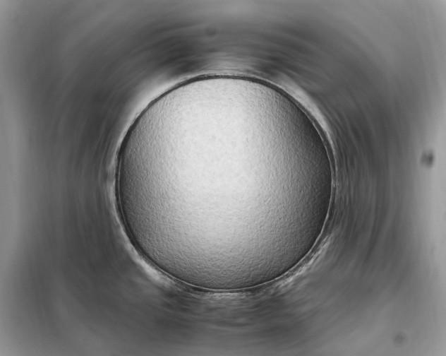 X0000099231437200805081547