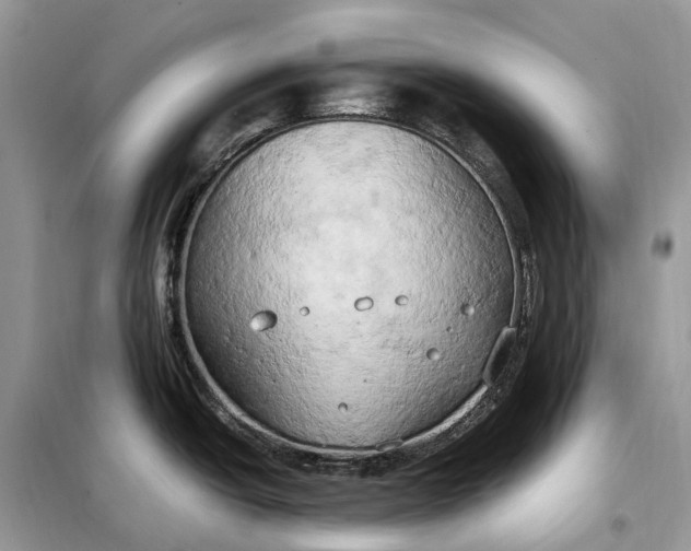 X0000099231438200805081547