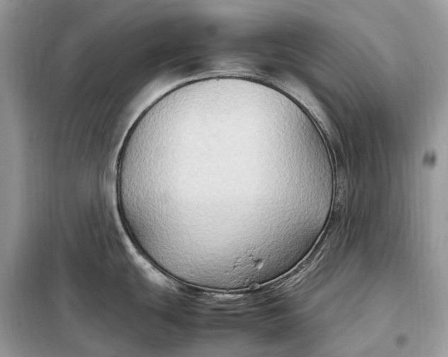 X0000099231439200805081547