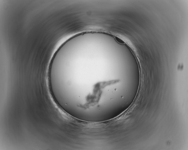 X0000099231440200805081547