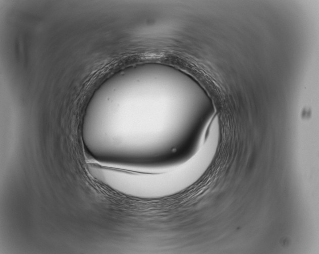 X0000099231441200805081546