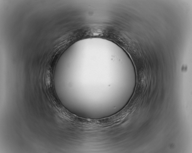 X0000099231442200805081546