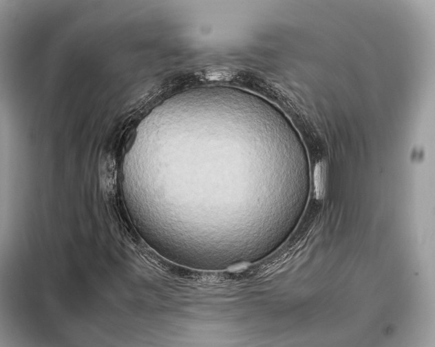 X0000099231443200805081546