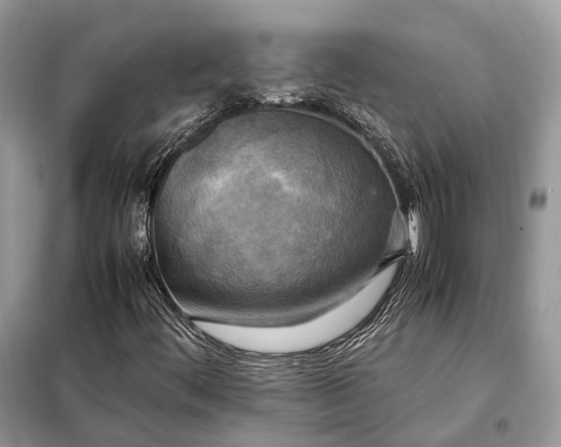 X0000099231444200805081546