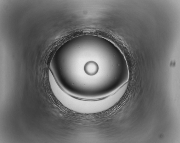 X0000099231445200805081546