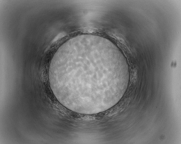 X0000099231446200805081546