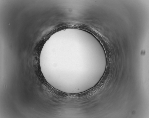 X0000099231447200805081546