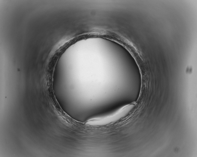 X0000099231448200805081546