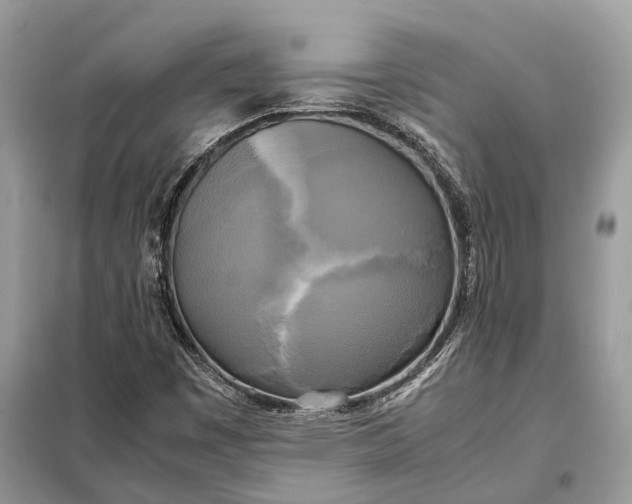 X0000099231449200805081546