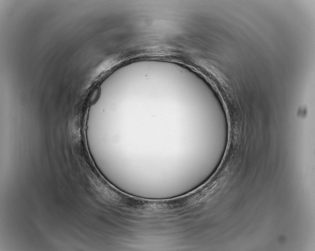 X0000099231451200805081546