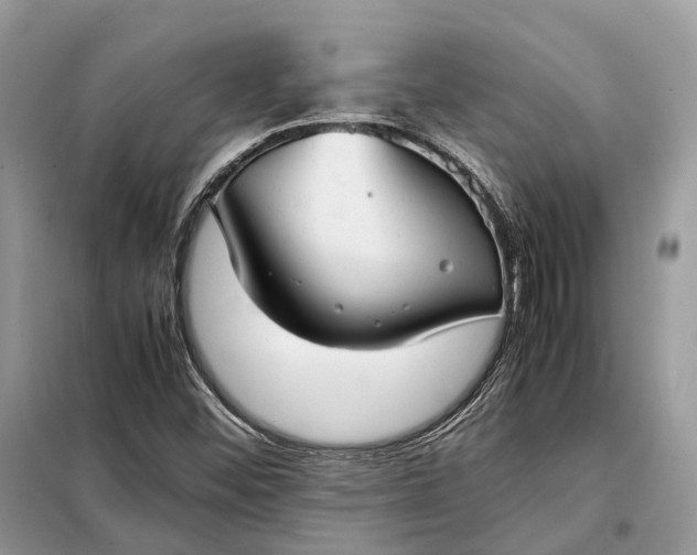 X0000099231452200805081546