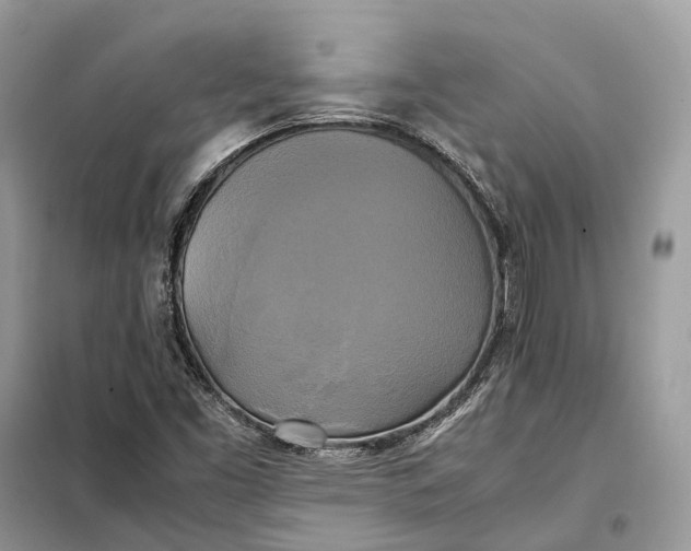 X0000099231453200805081546