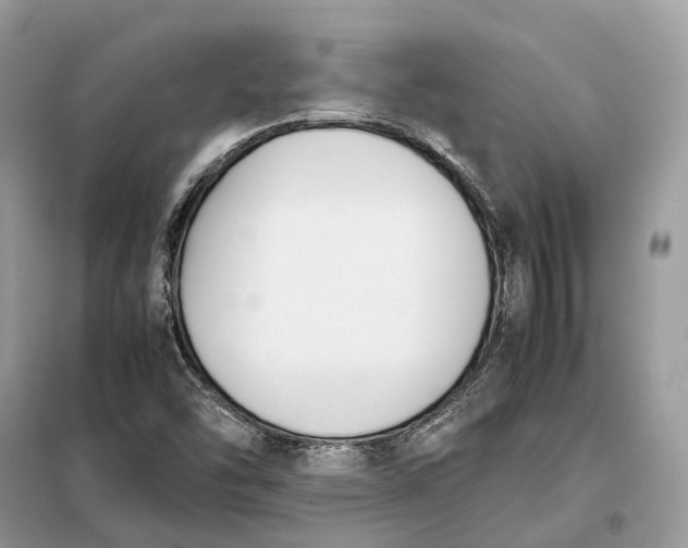 X0000099231454200805081546