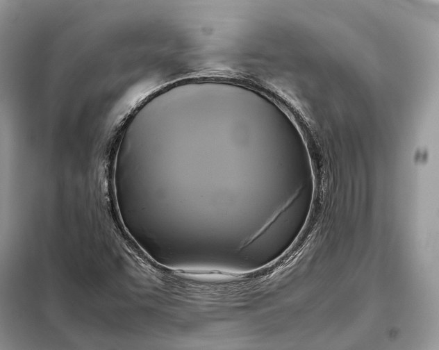 X0000099231455200805081546