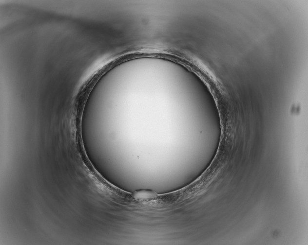 X0000099231456200805081546