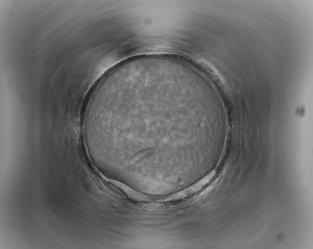 X0000099231457200805081546