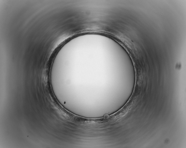 X0000099231458200805081546