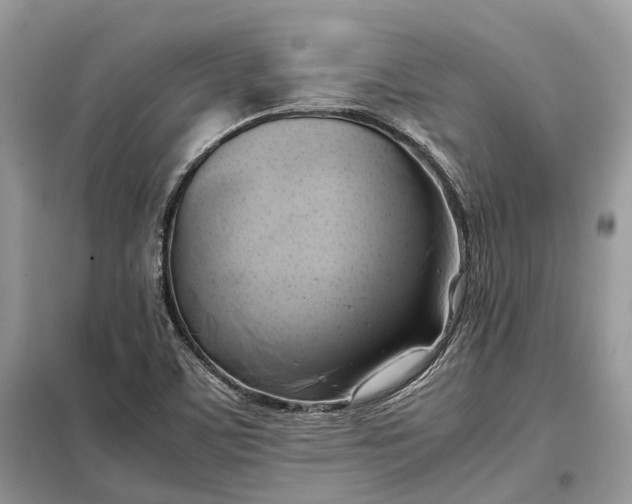 X0000099231459200805081546