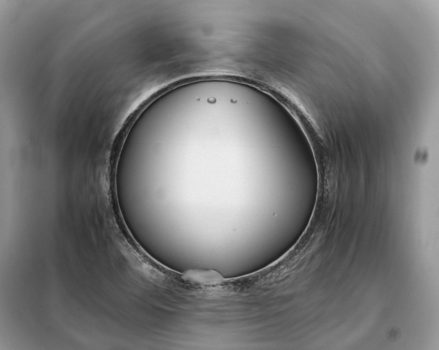 X0000099231460200805081546