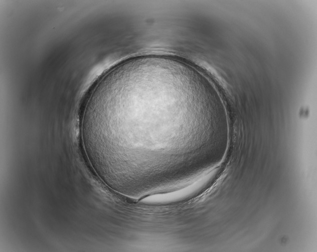 X0000099231461200805081546