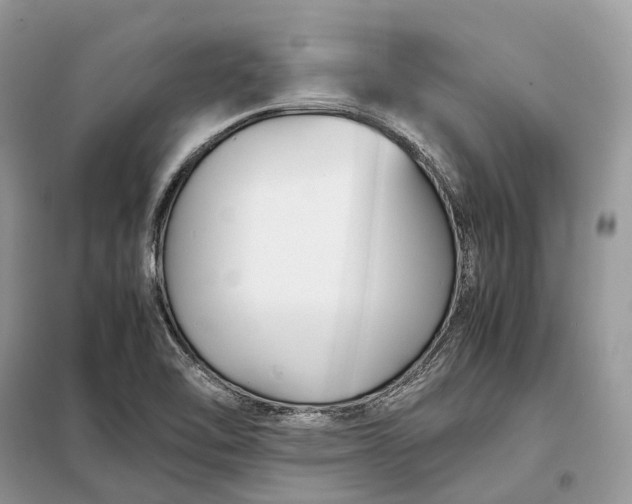 X0000099231462200805081546