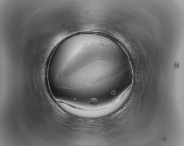 X0000099231463200805081546