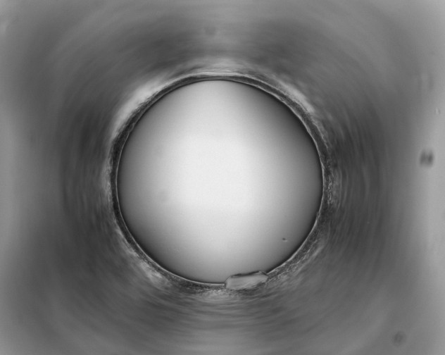 X0000099231464200805081546