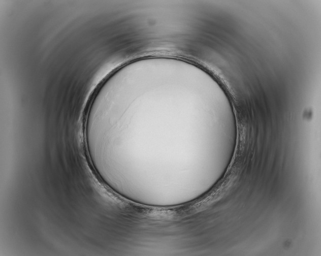 X0000099231466200805081545