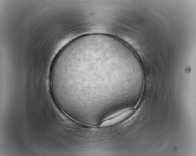 X0000099231469200805081545