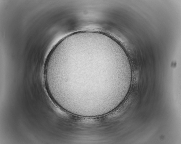 X0000099231470200805081545