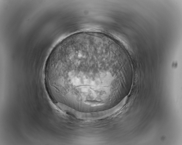 X0000099231471200805081545