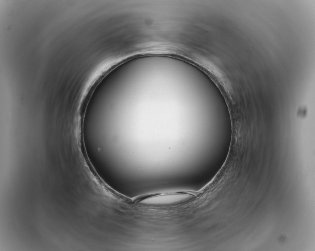 X0000099231472200805081545