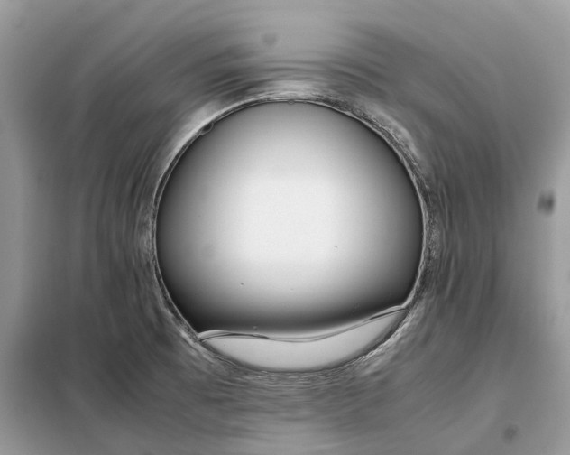 X0000099231473200805081545