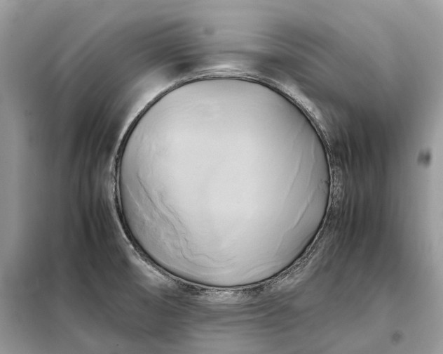 X0000099231474200805081545