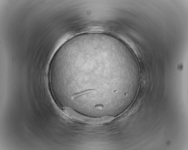 X0000099231475200805081545