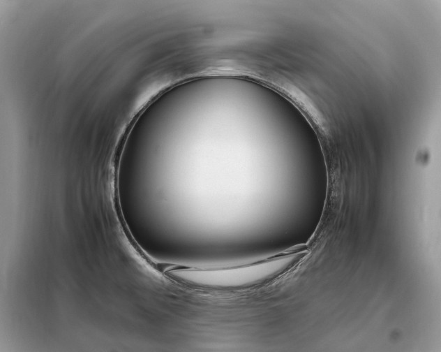 X0000099231476200805081545