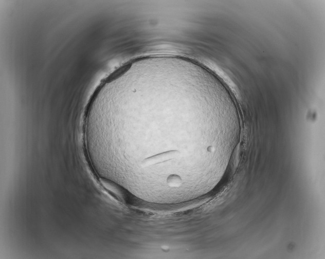 X0000099231477200805081545