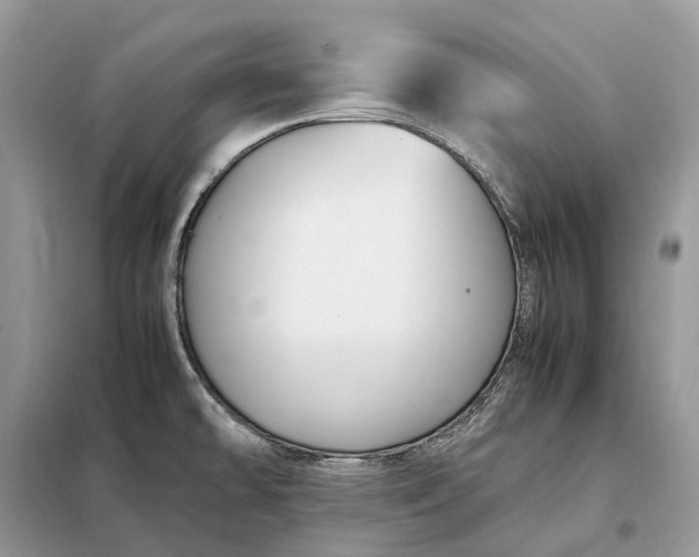 X0000099231478200805081545