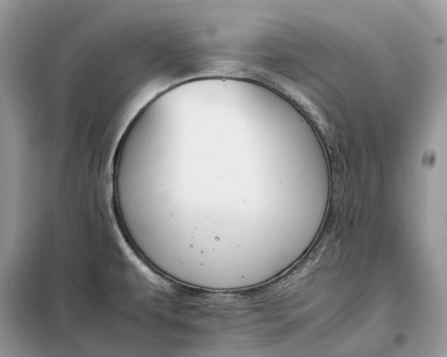 X0000099231479200805081545