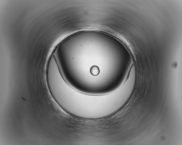 X0000099231480200805081545